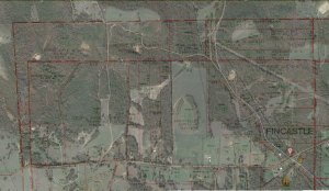 Google Earth image of Fincastle, Texas with plat map overlay. Click on image to view full size.