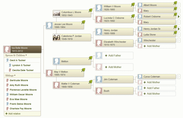 Pedigree chart for Iva Belle Moore Tucker