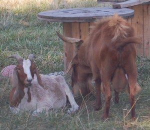 Sooooo not impressed.